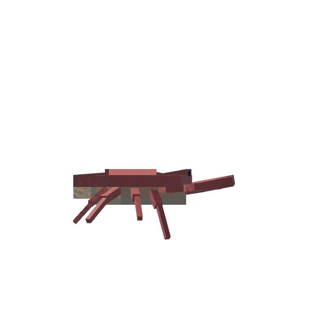 Crab