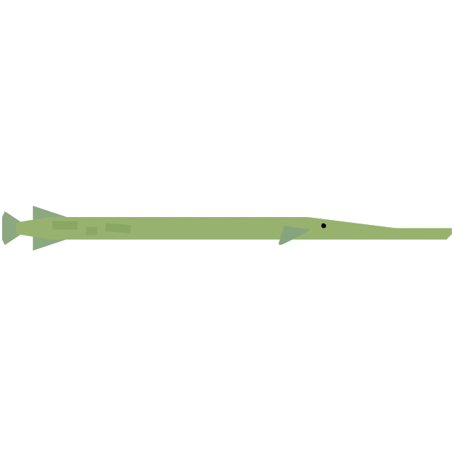 Trumpetfish